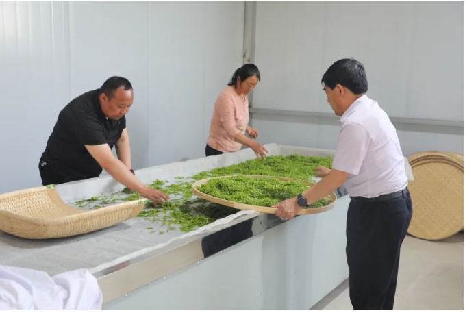 延川县红枣技术推广和产业营销服务中心组织召开了枣芽茶工作安排会议(图7)