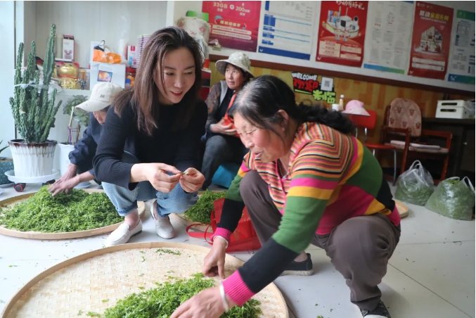 延川县红枣技术推广和产业营销服务中心组织召开了枣芽茶工作安排会议(图8)