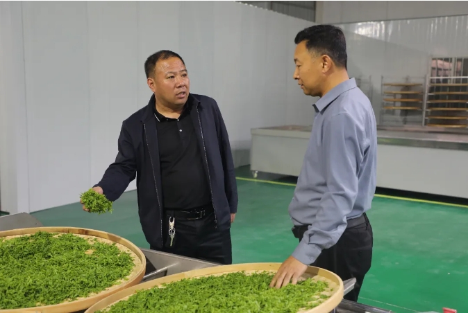 延川县红枣技术推广和产业营销服务中心组织召开了枣芽茶工作安排会议(图9)